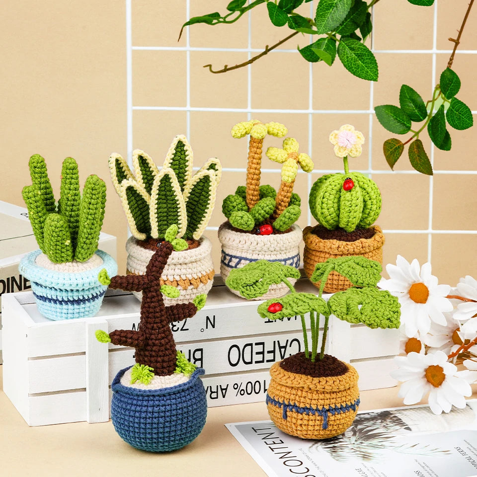 Succulent Plants Crochet Kit – DIY Cotton Yarn Craft Set
