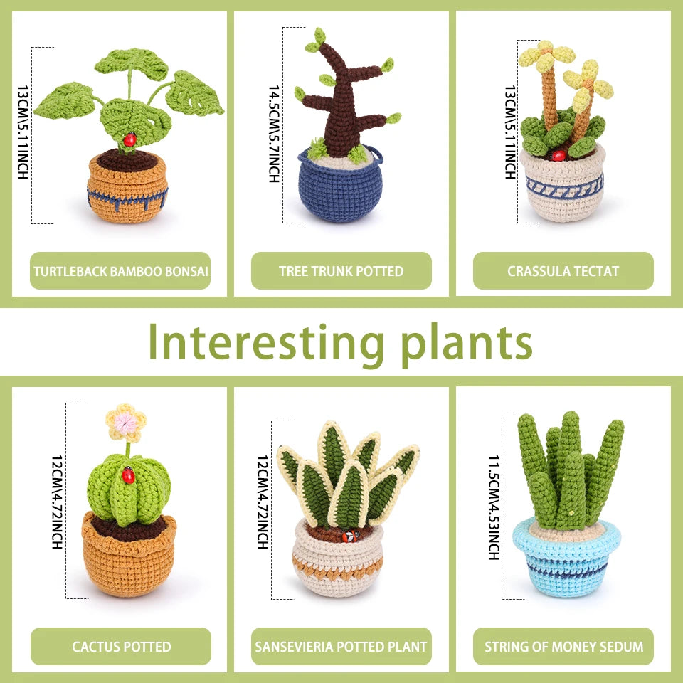 Succulent Plants Crochet Kit – DIY Cotton Yarn Craft Set