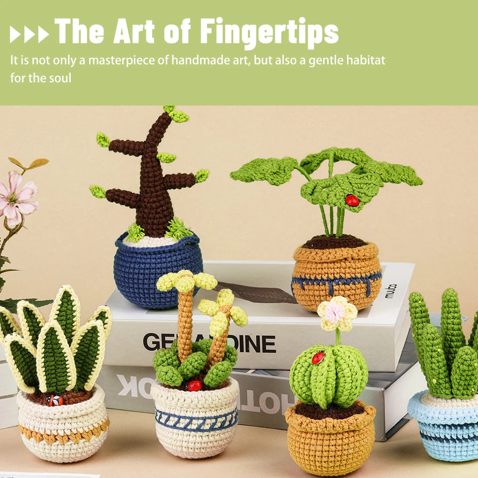 Succulent Plants Crochet Kit – DIY Cotton Yarn Craft Set